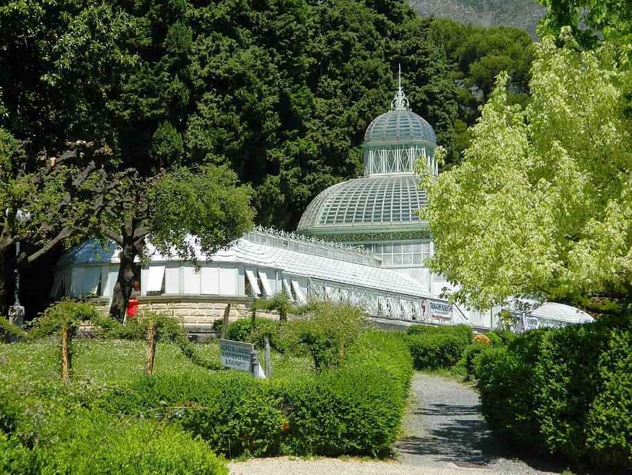 nature, spring, garden, tree, plants, architecture, built structure HD wallpaper