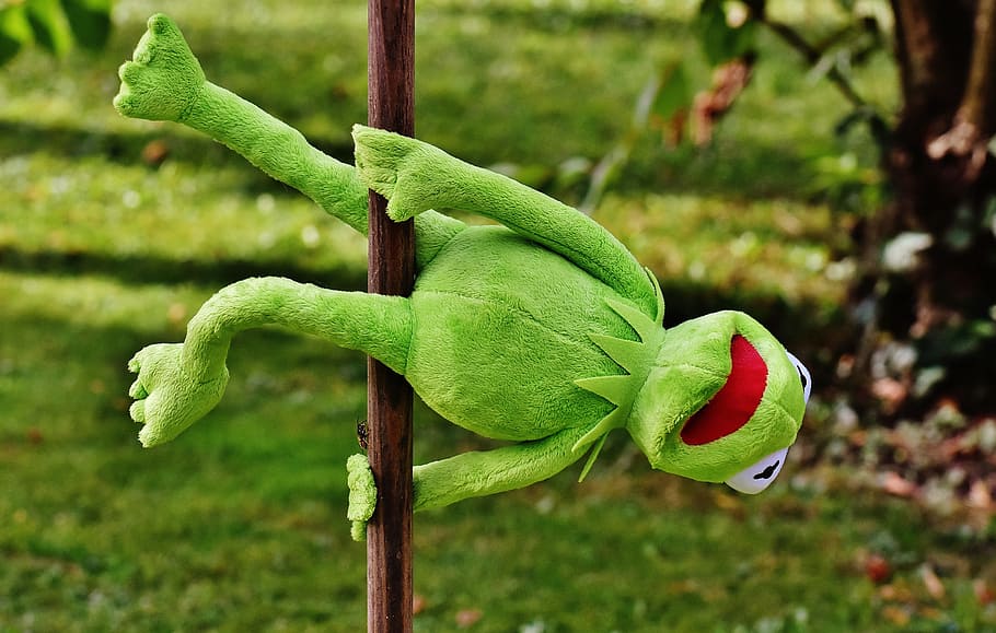 Kermit the Frog plush toy, pole dance, funny, soft toy, animal, HD wallpaper