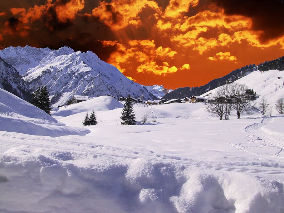 winter, wintry, evening, snow, landscape, snowy, cold, mood HD wallpaper