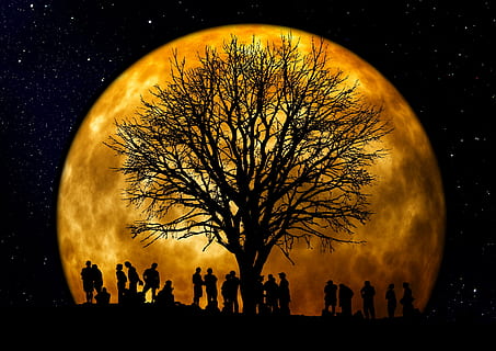 silhouette of people under the bare tree with moon background HD wallpaper