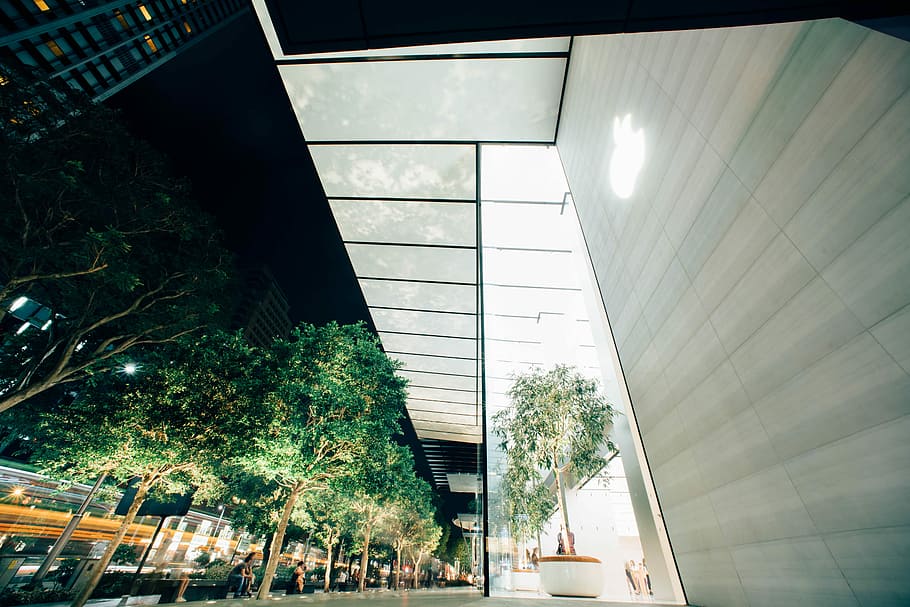 green leaf trees outside the building, low-angle photo of glass door building HD wallpaper