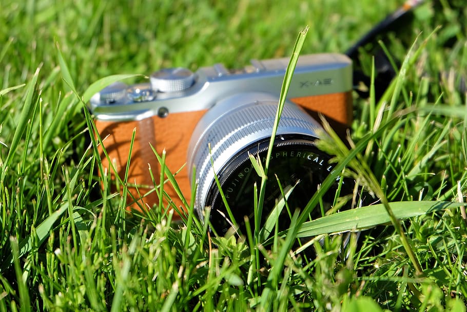 camera, grass, lens, technique, retro, plant, field, nature HD wallpaper