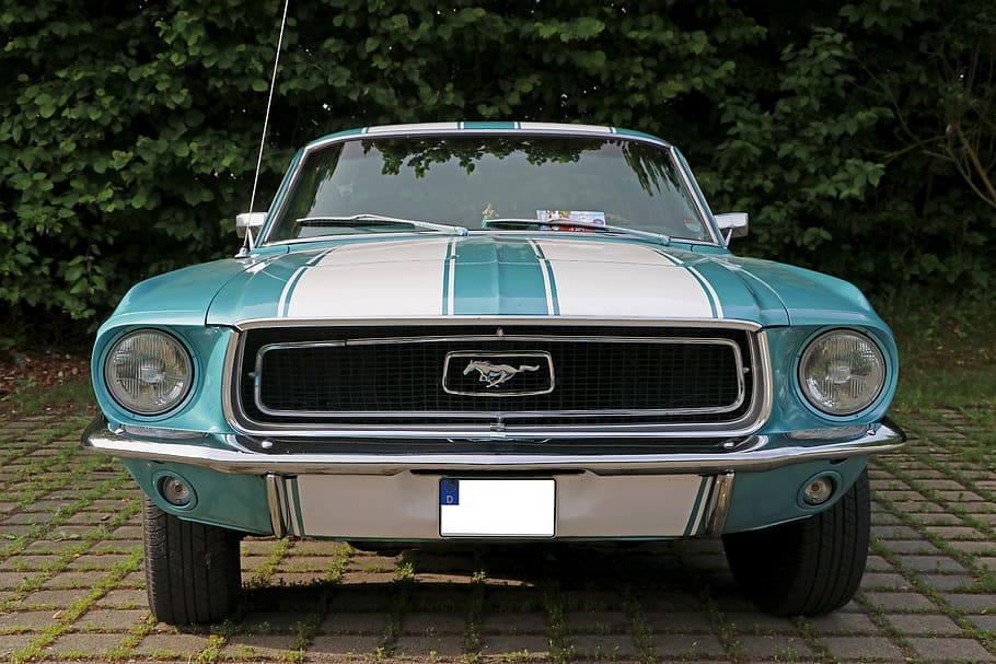 blue and white Ford Mustang coupe parked near green leaf tree