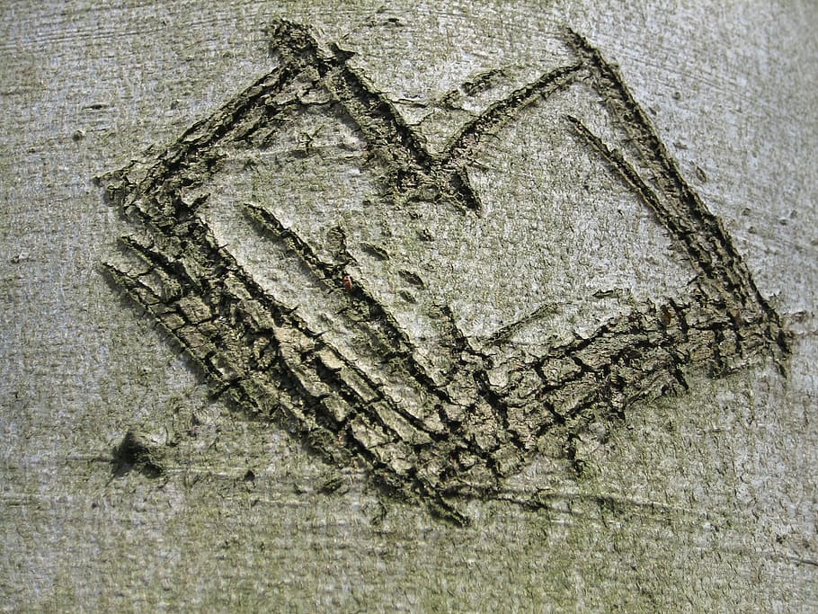 tree, bark, heart, engraved, love, close-up, textured, no people HD wallpaper
