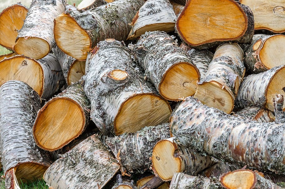 pile, firewood, log, material, cut, woodpile, rough, stacked HD wallpaper