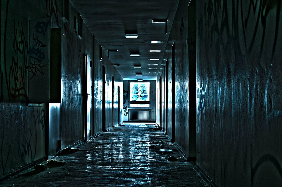 photo of hallway with doors, light, gang, faculty anatomy, architecture