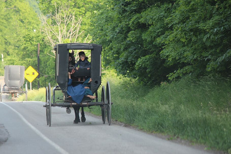 HD wallpaper: amish, horse, farm, rural, county, barn, animal,  transportation | Wallpaper Flare