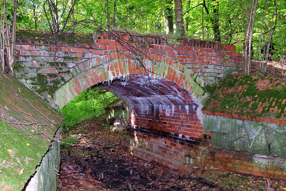 bridge, forest, brick, old, ditch, rotten, channel, dried, tree HD wallpaper