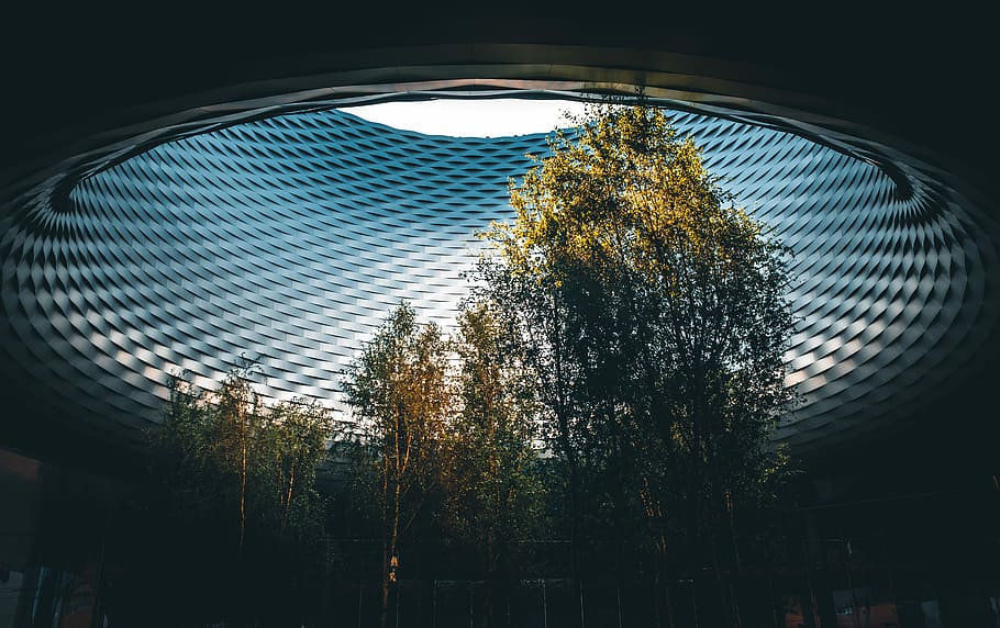 green leafed trees, landscape photography of green tree inside of dome HD wallpaper