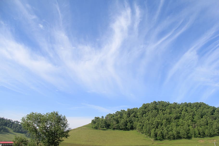 meadows, white cloud, clear sky, cloud view, air, day, summer HD wallpaper