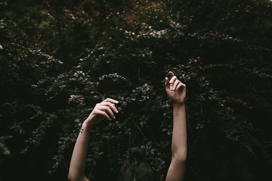 human hands on black surface, person raising arms near tree, finger