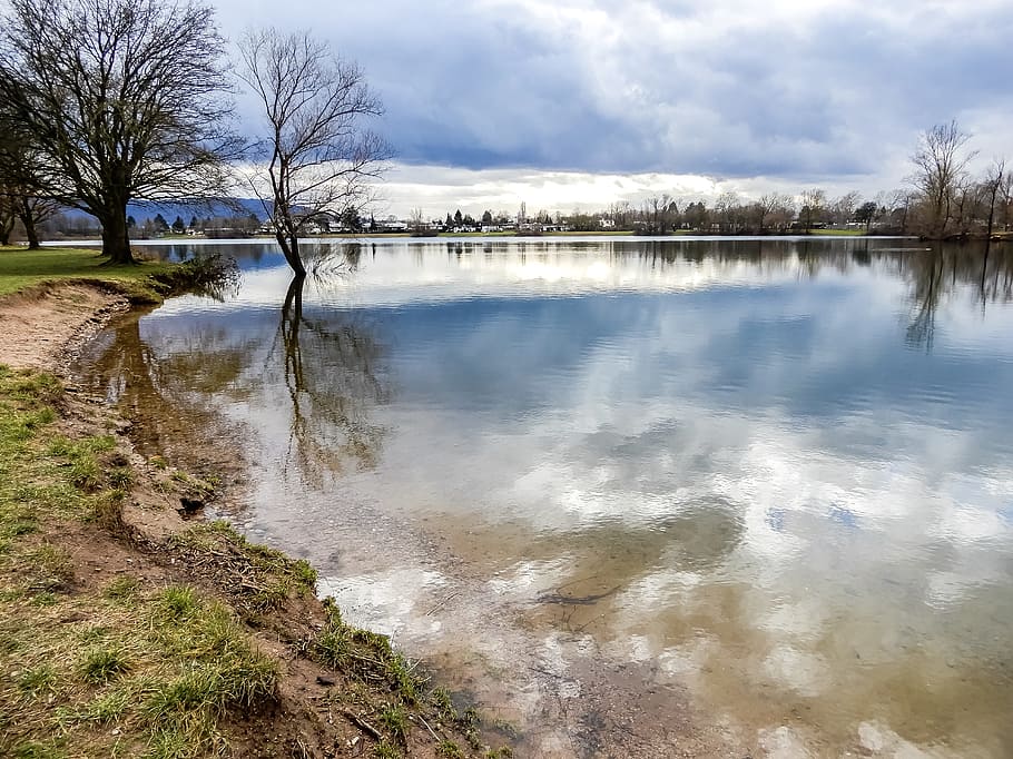 waters, nature, landscape, river, tree, sky, lake, reflection HD wallpaper