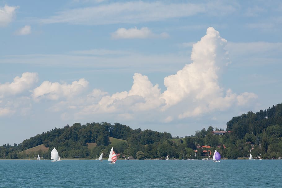 ship, sailing vessel, boot, hill, forest, water, lake, sky HD wallpaper