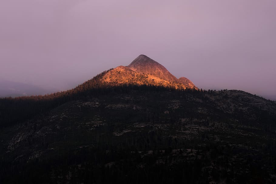 gray mountain alps, photo of mountain peak, summit, tree, forest HD wallpaper
