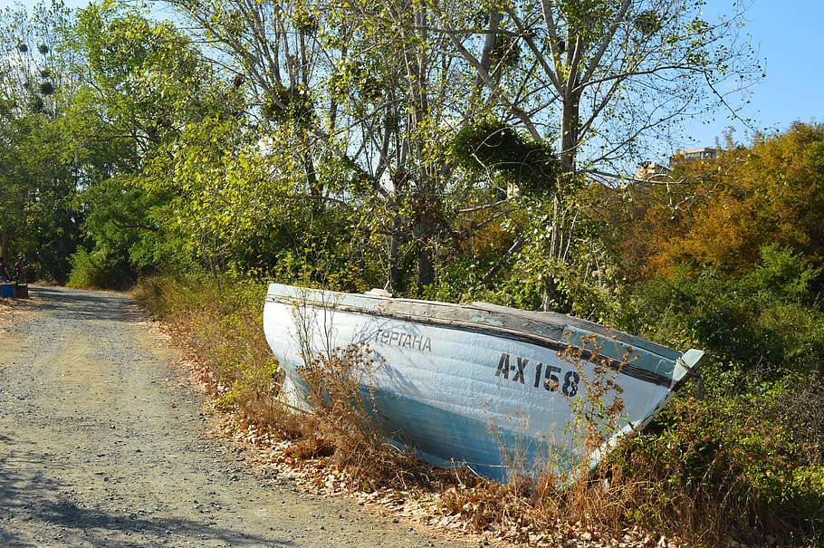 Boat, Forrest, Nature, Tree, Summer, bulgaria, nautical vessel HD wallpaper