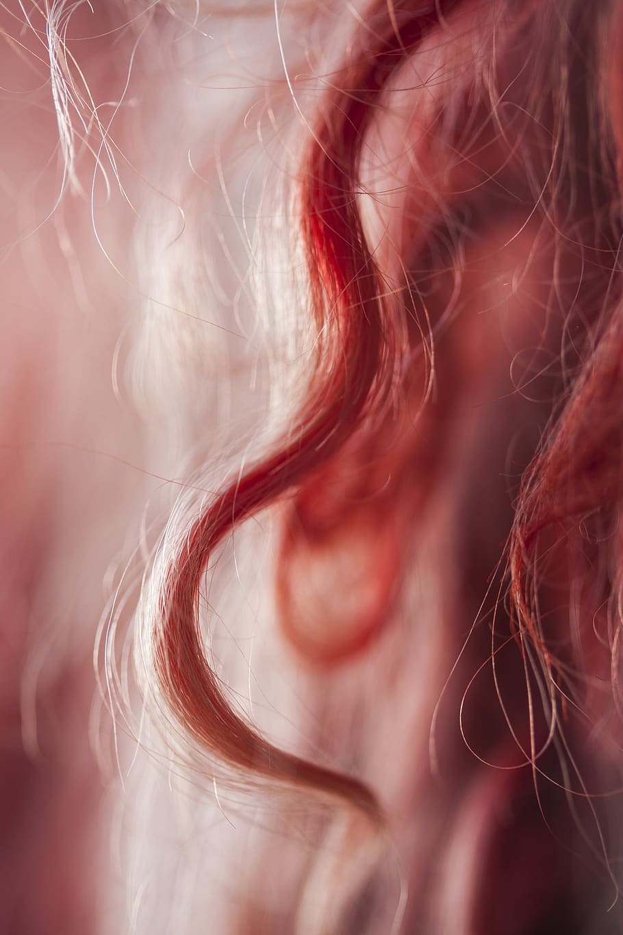 macro, red, carpet, fabric, wool, feather, textile, detail HD wallpaper