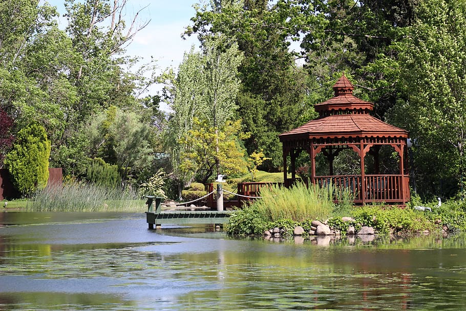 Duck Pond, Gazebo, reflection, water, outdoors, tree, day, no people HD wallpaper