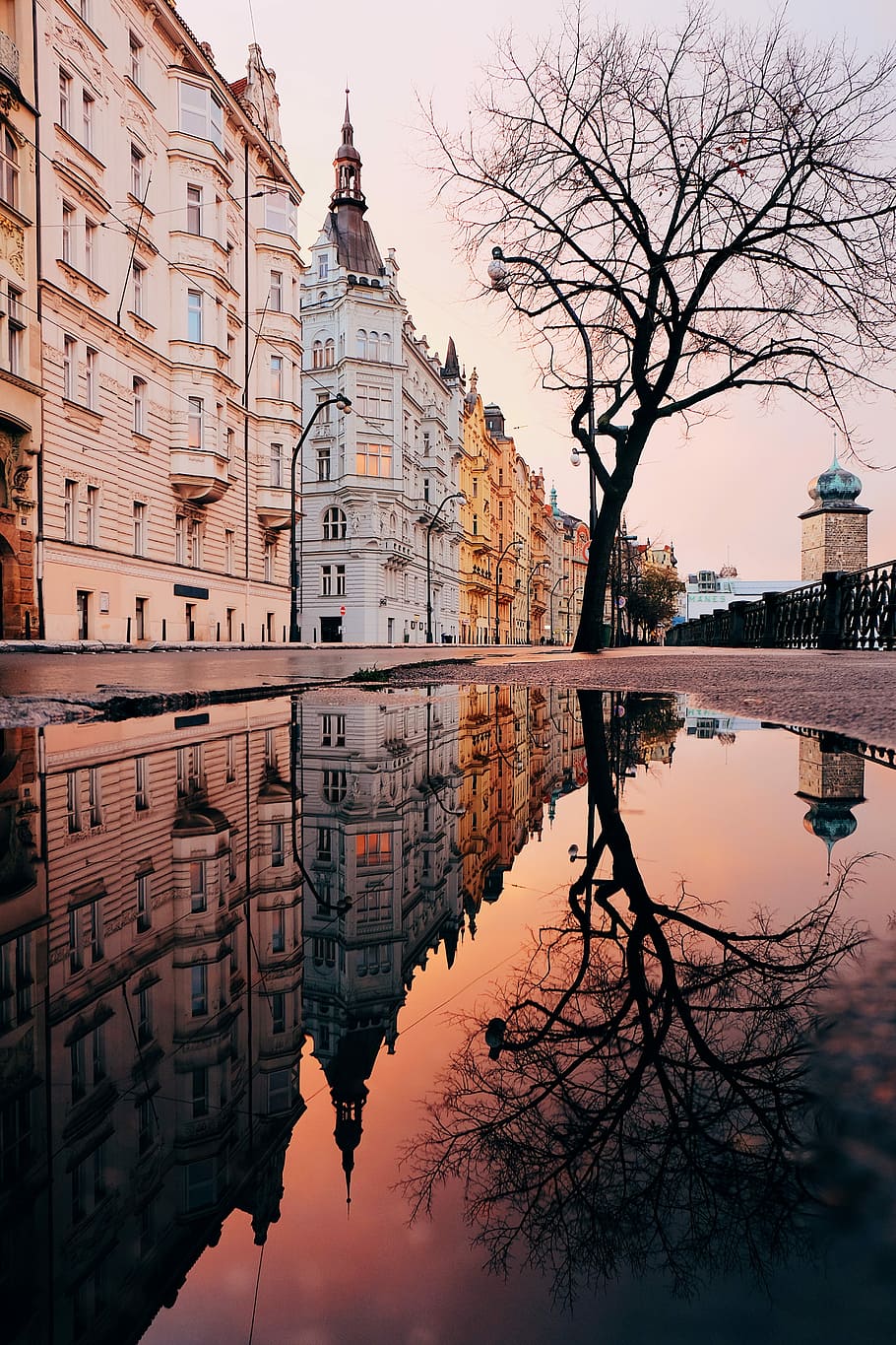 Prague, Czech Republic, body of water near white and brown concrete buildings and tree at daytime HD wallpaper
