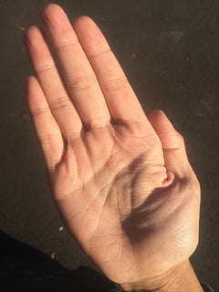 Palm, Hand, Finger, Bleaching, palm reading, young, japanese HD wallpaper