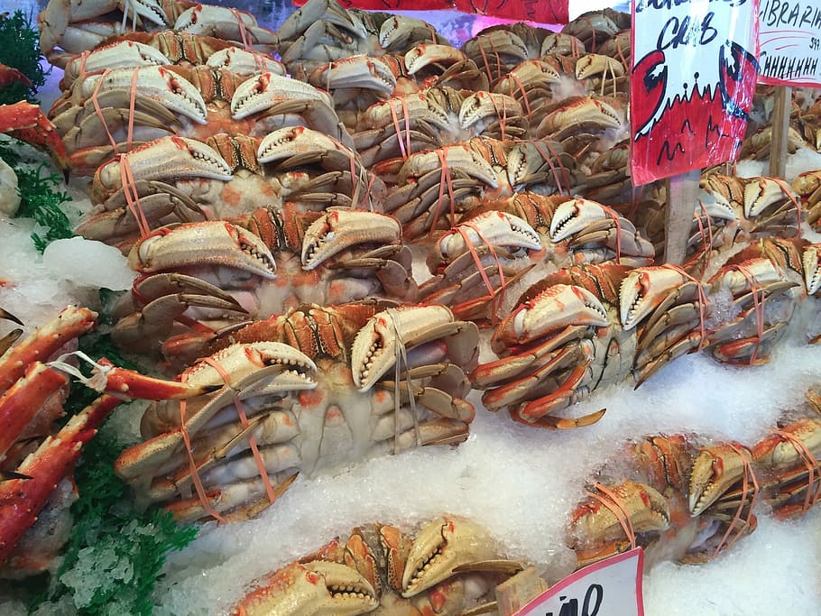 red and white Crabs, seafood, market, fish Market, freshness HD wallpaper