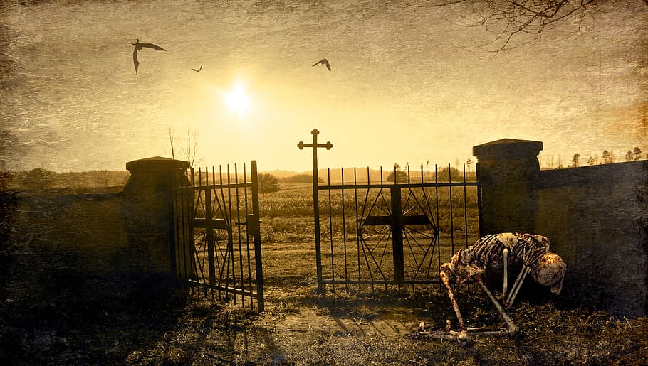skeleton near open gate, fantasy, cemetery, input, cross, light HD wallpaper