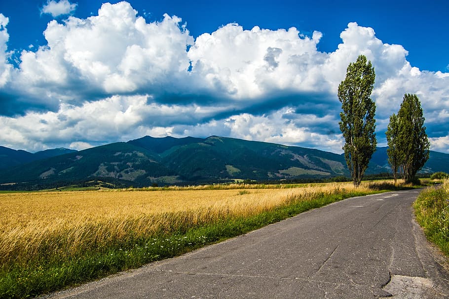 baranes, mountains, path, trees, field, clouds, heaven, leto HD wallpaper
