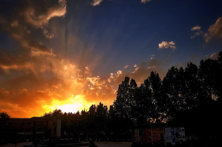 sunset, cloud, night, woods, sky, tree, cloud - sky, silhouette HD wallpaper