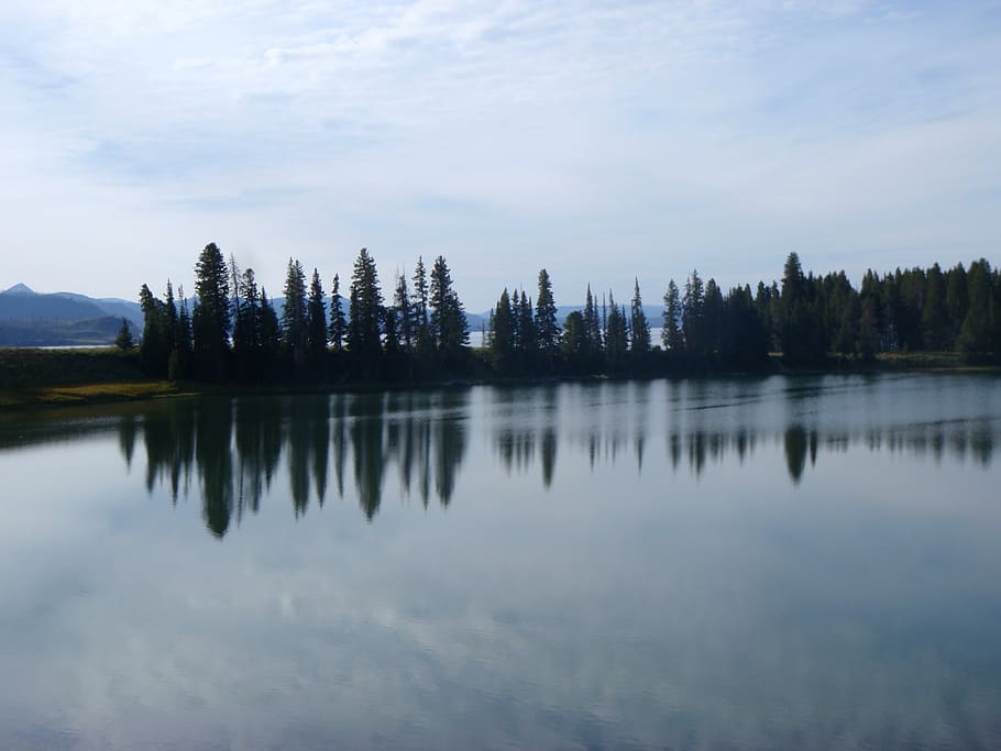 yellowstone, lake, clouds, nature, forest, water, landscape HD wallpaper