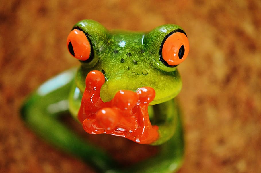 frog, funny, figure, cute, ceramic, frogs, sweet, animal, green HD wallpaper