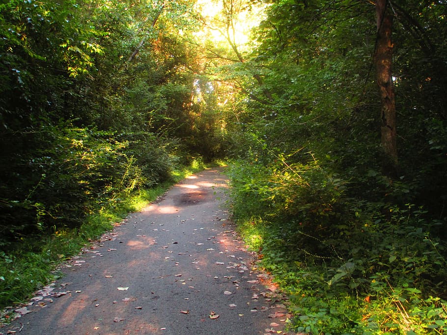 path, pavement, asphalt, bike, running, bike path, jogging path HD wallpaper
