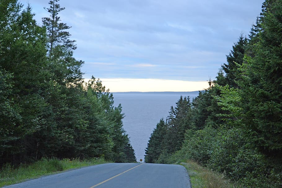 nova, scotia, road, forest, canada, clouds, sky, plant, tree HD wallpaper