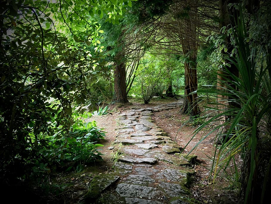 garden path, stone path, landscape, walkway, pathway, peaceful HD wallpaper