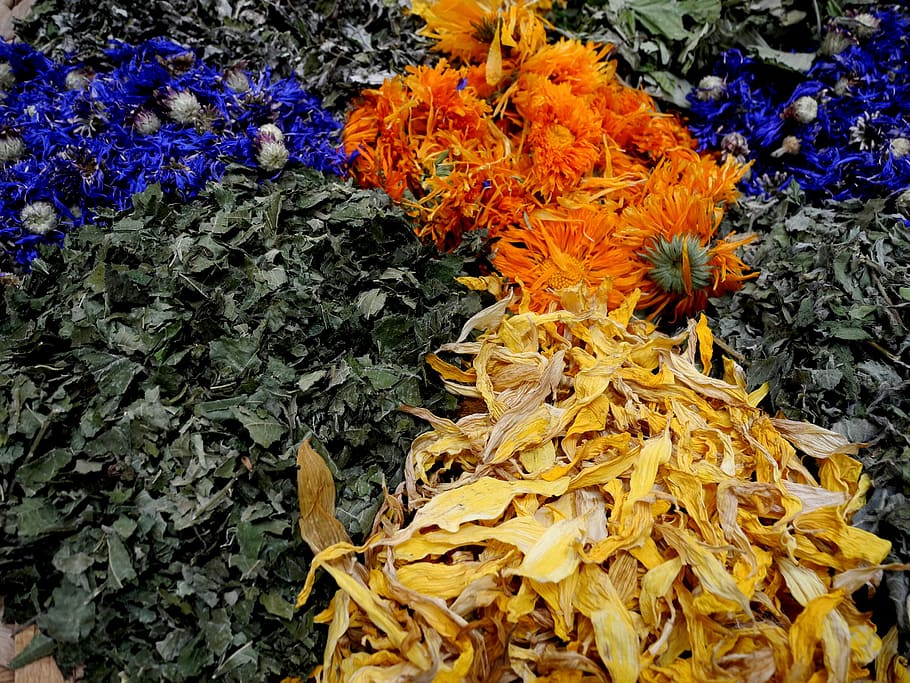 Herbs, Foliage, Dried, dried herbs, flower, yellow, marigold HD wallpaper