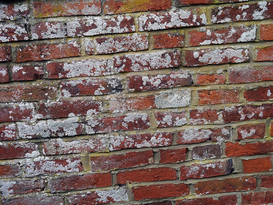 brickwall, bricks, brickwork, paint, aged, weathered, vintage HD wallpaper