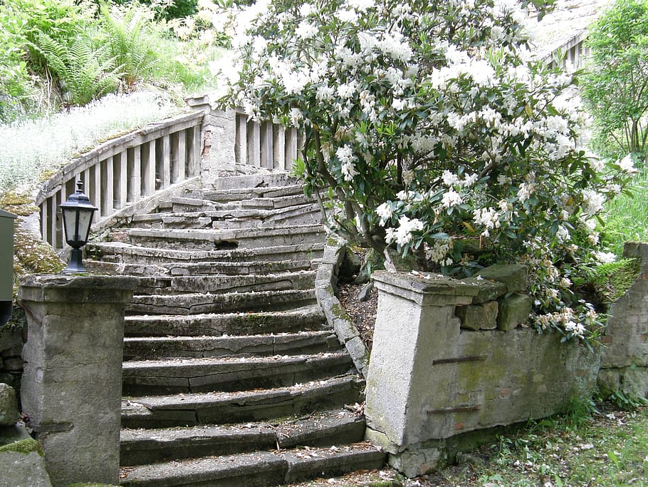 white flowers, stairs, lapsed, dilapidated, mysterious, ailing HD wallpaper