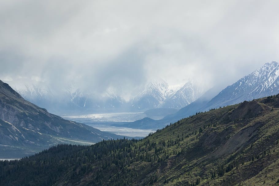 trees on mountain with mountain alps at distance, landscape HD wallpaper