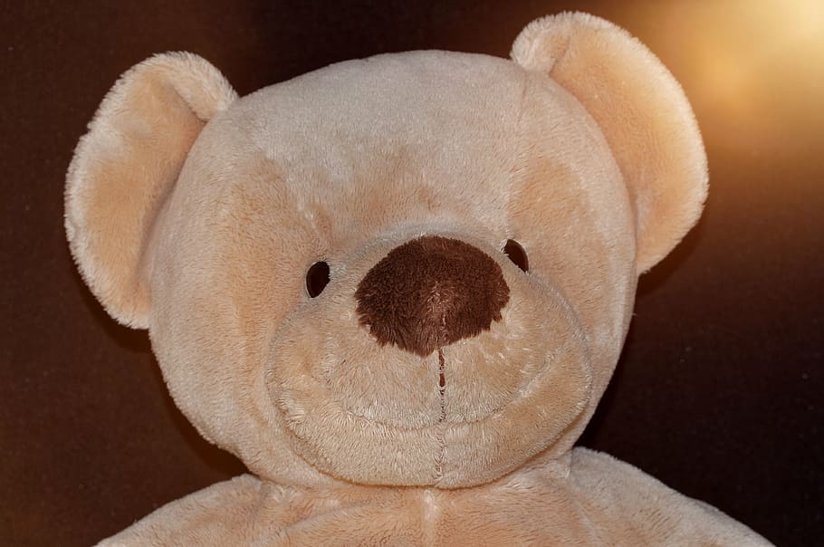 teddy bear, soft, fluffy, popular, beige, portrait, lighting HD wallpaper