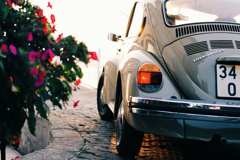 gray Volkswagen Beetle coupe parked beside purple petaled flowers at daytime