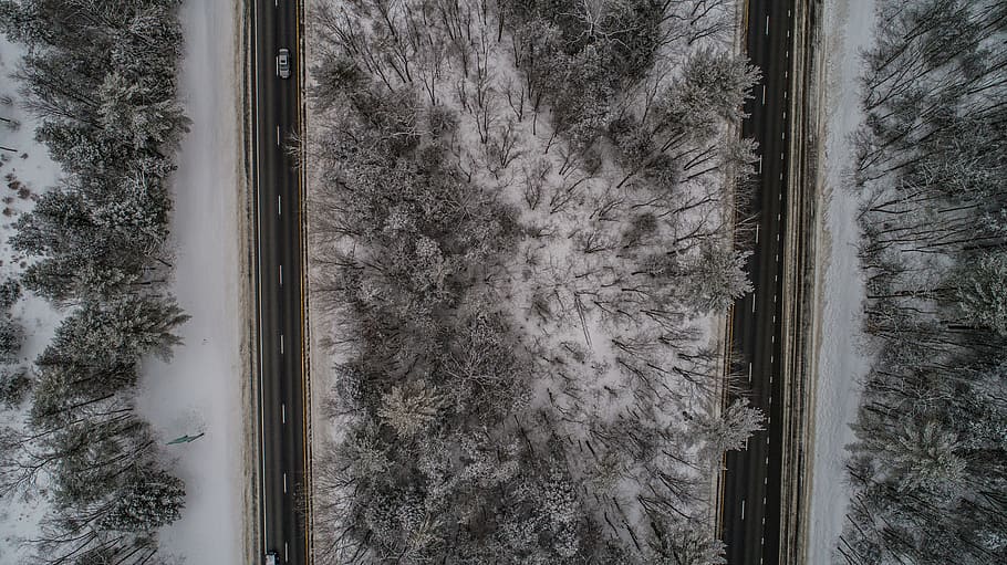 aerial photo of trees covered in snow, aerial photograph of a road and pine trees HD wallpaper