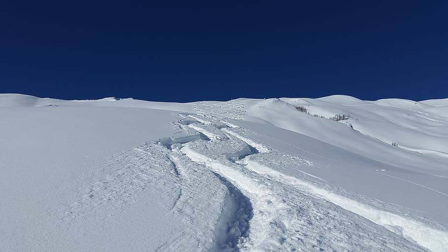 snow covered area, skiing, traces, deep snow, powder snow, backcountry skiiing HD wallpaper
