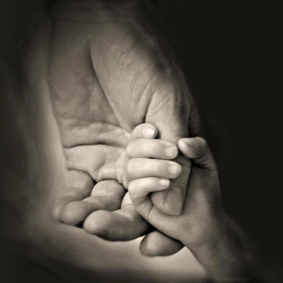 child and person holding hands, daddy, father, family, daughter, HD wallpaper