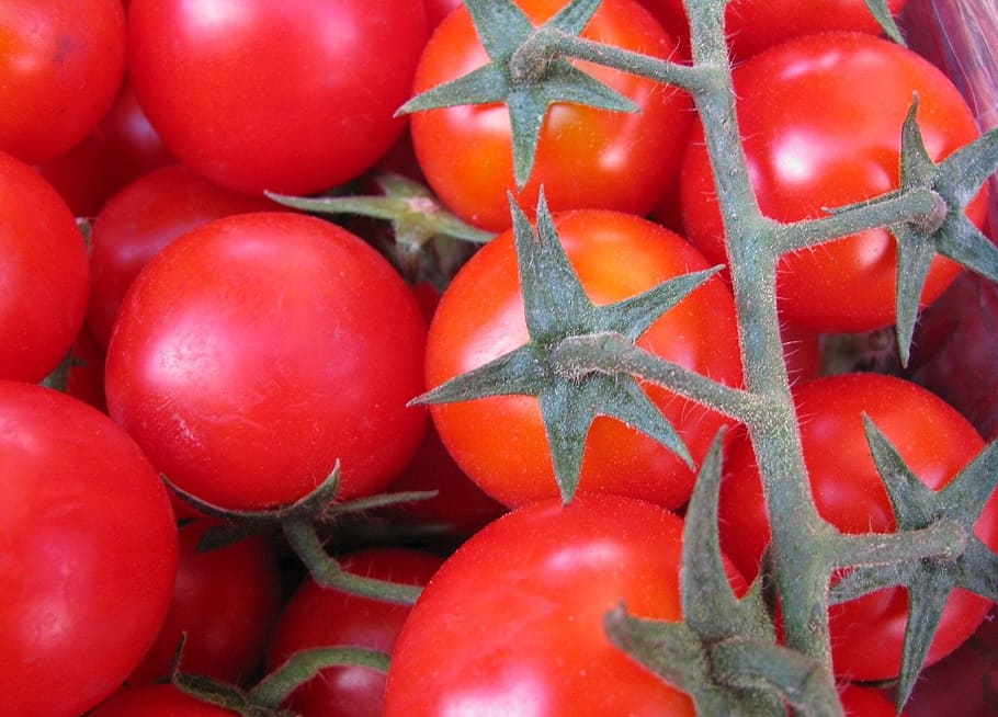tomatoes, red, vegetables, vegetarian, raw, nutrition, bunch HD wallpaper