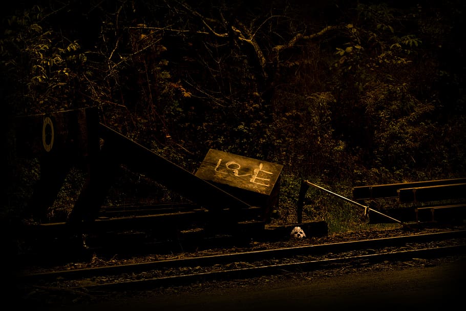 night, autumn, track, railroad track, tree, rail transportation HD wallpaper