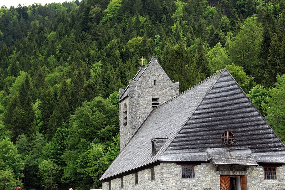 church, forest, building, tree, plant, architecture, built structure HD wallpaper