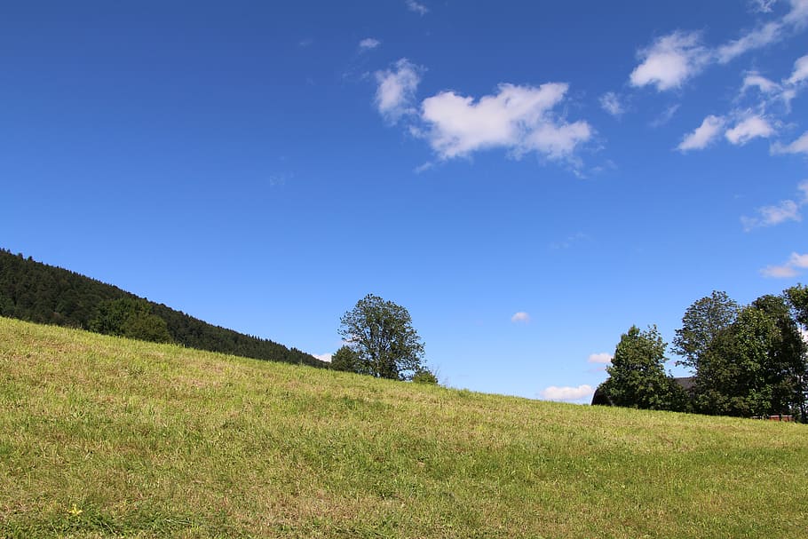 salzburg, gaisberg, meadow, plant, grass, sky, beauty in nature, HD wallpaper