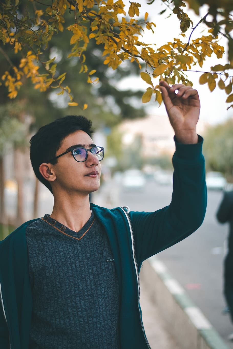 Boy, man holding tree leaf, male, portrait, glasses, real people HD wallpaper