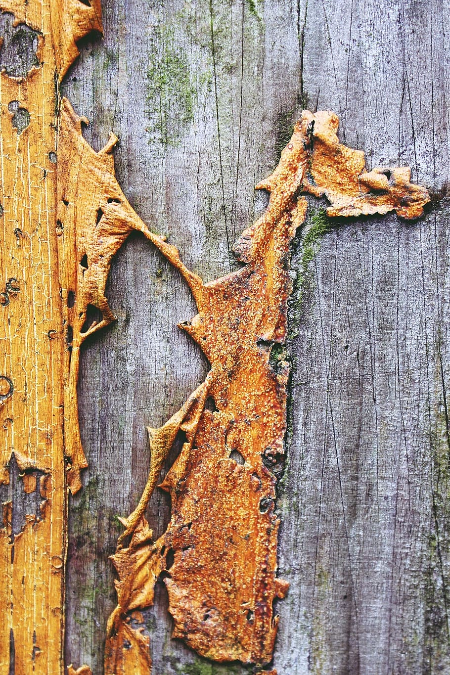 wood, flake, weathered, old, wall, structure, background, used HD wallpaper