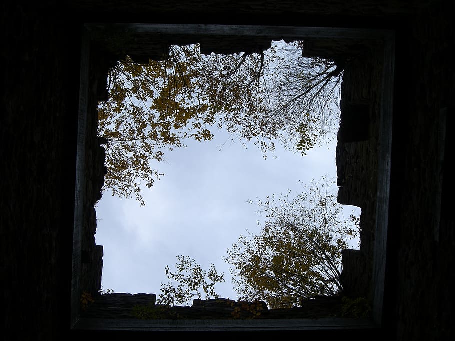 sky, window, issued window, masonry, sky building, tree, plant HD wallpaper