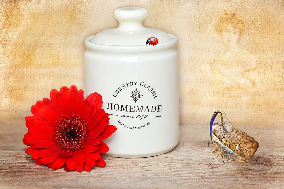 Container, Jam, Gerbera, jam container, flower, blossom, bloom HD wallpaper