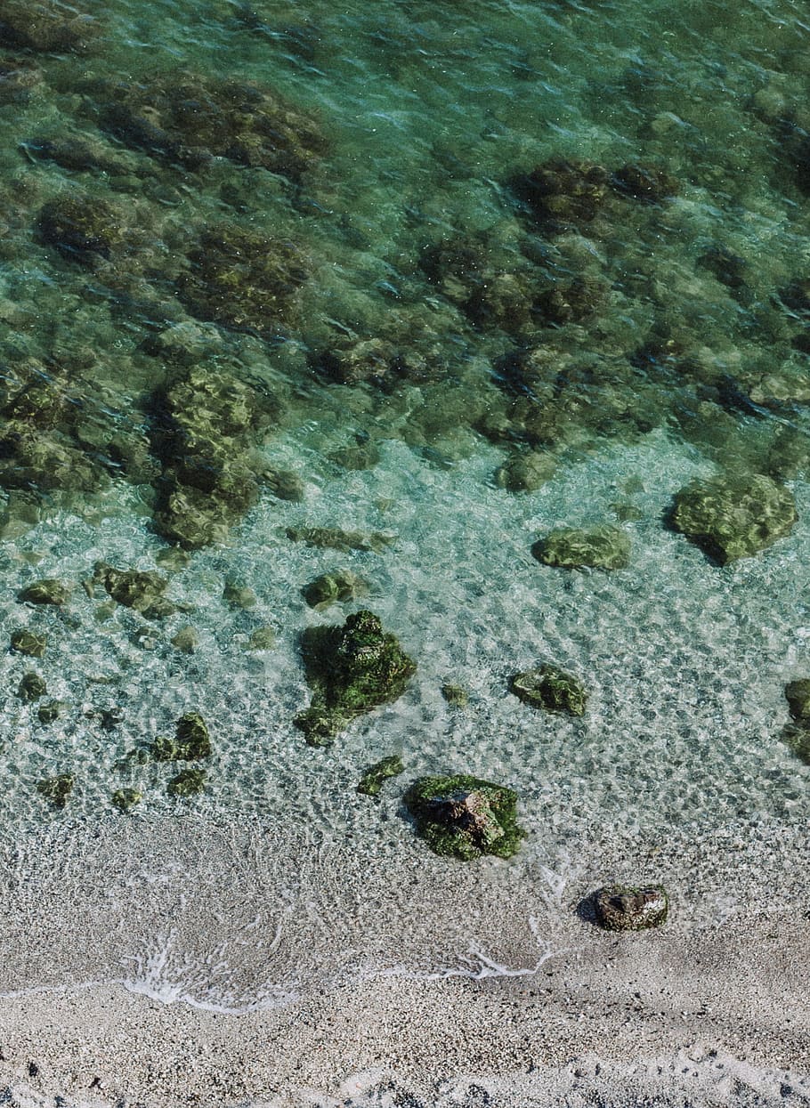 sea, nature, sand, water, aquatic, clear, corals, ocean, reefs HD wallpaper